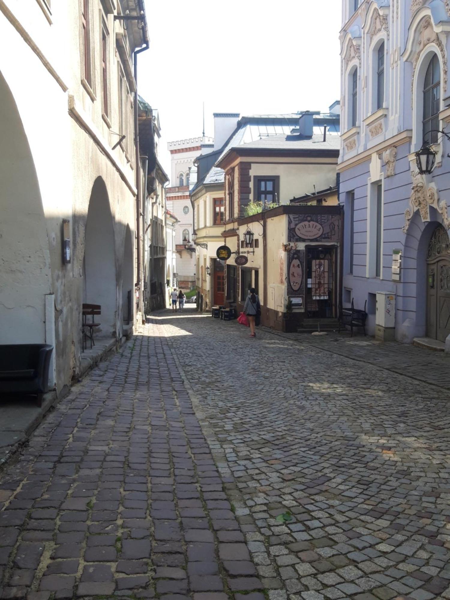 Apartamenty Orkana Bielsko-Biała Exterior foto